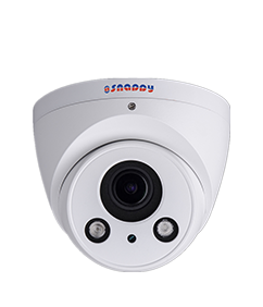 Eyeball 2MP IR Camera - IP-EB2MWC-SS