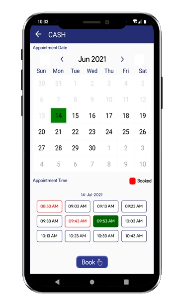 Mobile ticket server interface with appointment scheduling and ticket booking options