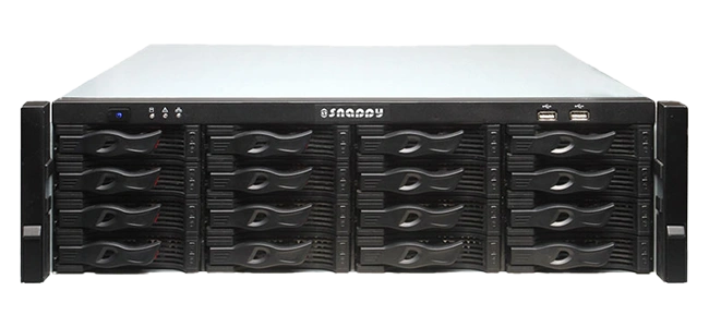 16 HDDs Mini SAS Storage Cabinet