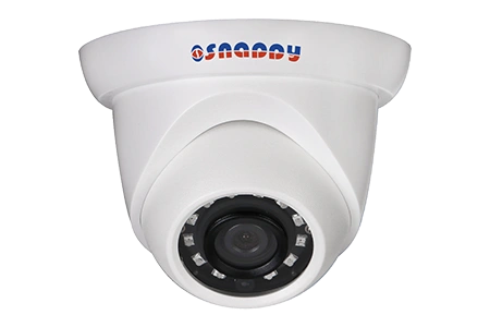 4MP WDR IR Eyeball Network Dome Camera