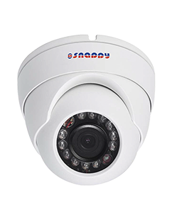 Eyeball 4MP HD WDR IR Camera