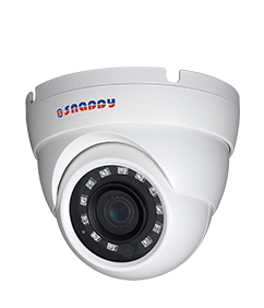 Eyeball 4MP IR Camera - IP-ED14FC-US3