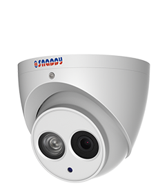 Eyeball 4MP IR Camera - IP-ED4FC-US3