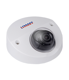 Vandal-proof IR Wedge Dome 2MP HD WDR Camera