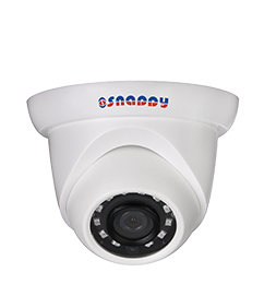 Eyeball 2MP IR Camera - IP-EB2FC-SS