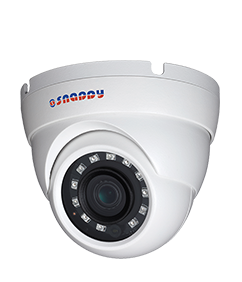 IR Eyeball 2mp Camera - IP-1EB2FEWC-PS