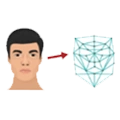 Face recognition solution