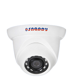 4MP WDR IR Eyeball Network Dome Camera