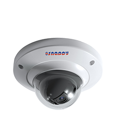 Vandal-proof Mini Dome 2MP WDR IR Camera