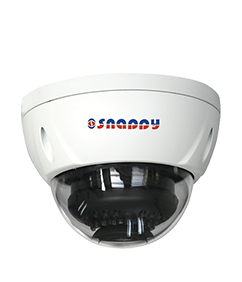 Dome 4MP WDR IP Camera